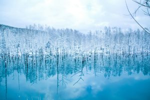 kwon-youn-hr4fovu3dZc-unsplash