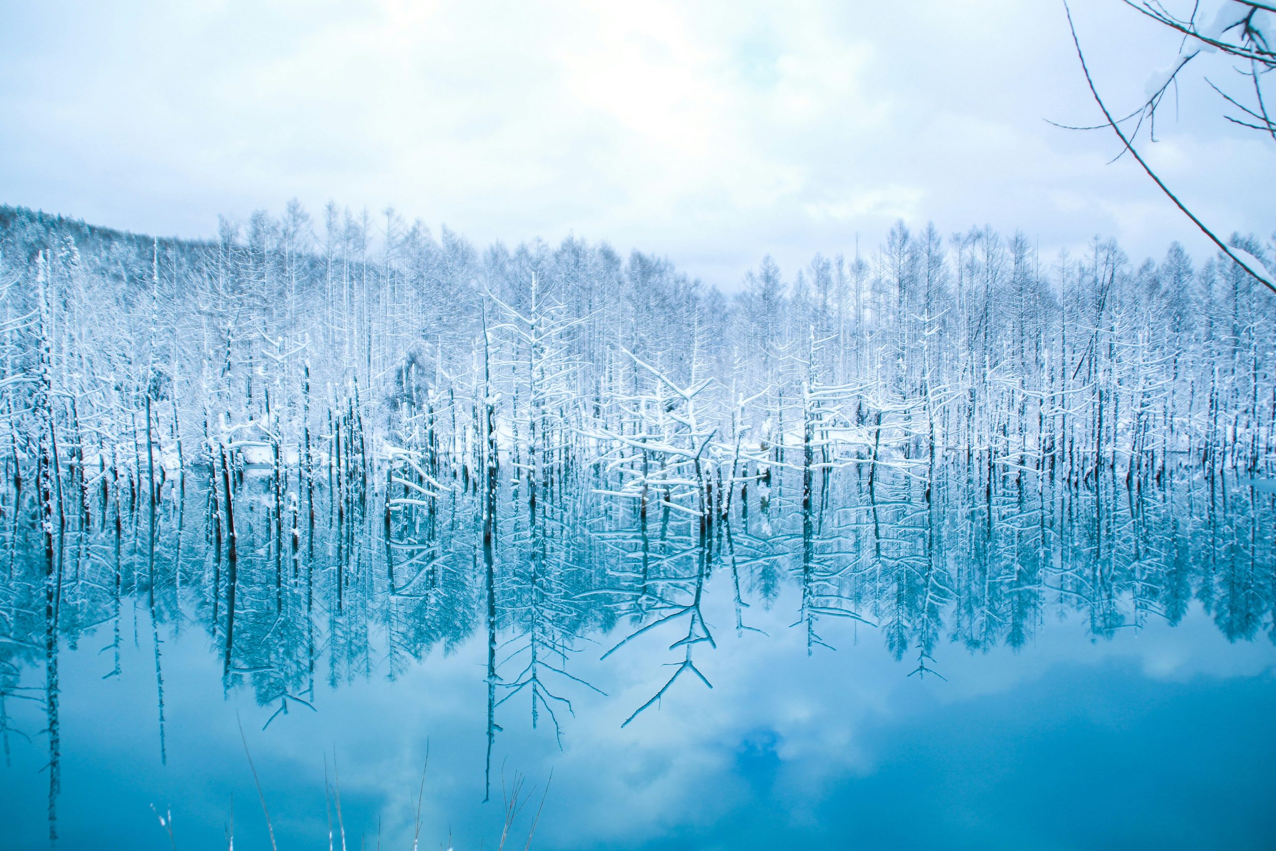 12D11N Japan - Hokkaido